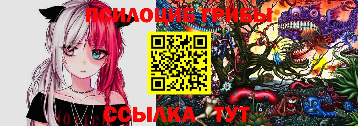 Псилоцибиновые грибы MAGIC MUSHROOMS  Вход с VPN  Ногинск 
